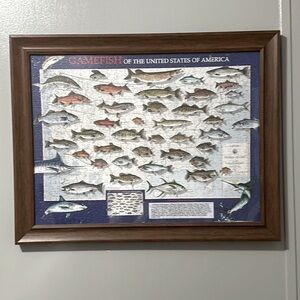 Vintage Gamefish Of The United States Of America Wall Hanging Picture